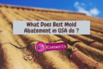 What Does Best Mold Abatement do in Encino, California?
