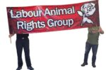 How Well Designed Protest Signs Can Aid Your Campaign